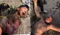 Viral Petinju Bali Cekik Turis Rusia, Aksi Belda Brig Sando Tuai Sorotan, Teguran atau Emosi Tak Terkendali?