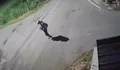 Viral CCTV Yogyakarta Ungkap Aktivitas Mencurigakan di Jalan Imogiri, Warga Resah Aksi Dini Hari Berulang