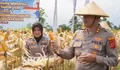 Panen Raya Jagung di Cisayong, Polres Tasikmalaya Kota Berhasil Produksi 10 Ton