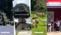 Rekomendasi Wisata Terbaru di Bogor, Mulai dari Salju Sentul hingga Edukasi Satwa Khas Puncak, Cocok Buat Liburan!