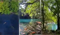 Dijuluki Kepingan Surga! Ini Pesona Telaga Biru Cicerem, Objek Wisata Kuningan Jawa Barat yang Punya Air Sebening Kristal