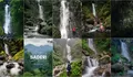 Curug Saderi Bogor Tawarkan Trekking Mudah 15 Menit, Cocok untuk Pemula dan Pecinta Alam?