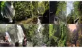 Curug Walet Bogor Tersembunyi di Halimun Salak, Trekking 20 Menit Lewati Jalur Ekstrem Bikin Penasaran
