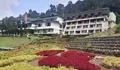 Puncak Pass Resort, Wisata Cianjur Bersejarah sejak 1928 dengan Panorama Alam dan Kuliner Heritage
