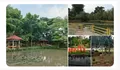 Wisata Kota Depok Kian Populer, Taman Lembah Gurame Jadi Tempat Wisata Gratis yang Adem dan Instagramable
