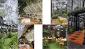 Libur Panjang ke Bandung? Ini 2 Cafe Hutan Pinus yang Lagi Populer, Suasananya Bikin Betah Berlama-lama