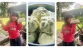 Bakpao O'an Depok, Bakpao Jumbo dengan Isian Melimpah yang Layak Masuk Daftar Kuliner Favorit