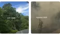 Kabut Asap Karhutla Selimuti Biak Numfor Papua, Warga Cerita Dugaan Hutan Sengaja Dibakar
