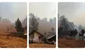 Karhutla Gunung Semeru, Ranu Kumbolo Diselimuti Asap Tebal, Guide dan Relawan Buat Sekat Bakar