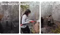Sherina Munaf Turut Terjun Padamkan Karhutla Kalteng, Cerita Asap Tebal sampai Masuk Pesawat