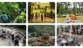 Destinasi Wisata Bogor, Hutan Hujan Sentul Hadirkan Wisata Alam dengan Hutan Pinus 26 Hektar