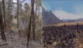 Karhutla Jatim Makin Meluas, Gunung Buthak-Kawinajang Terbakar 1.000 Hektare, Water Bombing Terkendala Angin