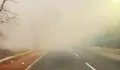 Kabut Asap Karhutla Kembali Pekat di Kalsel, Jarak Pandang Warga Menurun, Banjarmasin Perpanjang PJJ