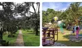 Warso Farm Bogor Tawarkan Destinasi Wisata Edukasi, Kebun Durian Luas dan Belasan Varietas Jadi Daya Tariknya