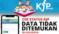 Status Penerima KJP Plus Tahap 2 November 2023 Bermasalah Saat Dicek, Pakai Langkah-langkah Ini