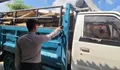 Polres Malang Tangkap Pelaku Ilegal Loging di Sumbermanjing Wetan, Mobil Truk dan Kayu Jati Disita
