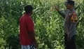 Polsek Kudu Dampingi Petani Jagung, Dukung Program Ketahanan Pangan Nasional