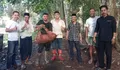 Kendalikan Hama, Pemdes Tanah Towa 'Impor' Pemburu Babi dari Luar Provinsi