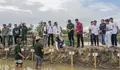 Legislator Hanura Apresiasi Penanaman Mangrove yang Dilakukan Pemkab Bulukumba