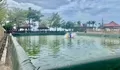 Menengok 'Dapur' Ketahanan Pangan Bulukumba: Budidaya Nila Intensif Kini Hadir di Pantai Merpati