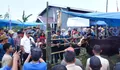 Kontes Sapi Hasil IB di Bulukumba, Brutus Juara Pedet dengan PBBH 1,335 Kg per Hari