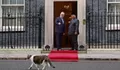Presiden Prabowo Disambut Larry the Cat di Downing Street, Inggris
