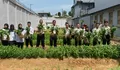 Lapas Batam Panen 150 Kg Kangkung, Dukung Program Ketahanan Pangan Nasional