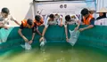 Lapas Kelas IIA Batam Panen 240 Kg Kangkung dan Tebar 6.000 Benih Lele Dukung Ketahanan Pangan Nasional