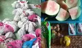 Wali Murid Keluhkan MBG TK Dipasena Mulya, Datang Terlambat dan Kualitas Dipertanyakan 