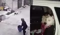 Anjing Pitbull Serang Anak di Bandung Dikarantina, Korban Jalani Operasi dan Dapat 27 Jahitan