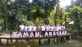 Semarak HUT Ke-209, Kebun Raya Bogor Hadirkan Taman Araceae dan Gelar Penanaman Pohon