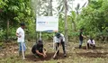 BRI Grow & Green Kolaborasi dengan Kelompok Tani di Bali Menanam Pohon di Lahan Kritis