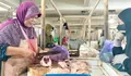 Wilayah di Kota Bogor Ini Menghasilkan Ayam Ras Pedaging Paling Banyak, Apakah Wilayah Bogor Barat?