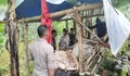 Dikira Tiduran di Gubug Lahan Perhutani Patean Kendal, Petani ini Ternyata Meninggal Dunia