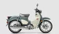 Kenalan dengan Honda Super Cub C125, Motor Bebek para Sultan