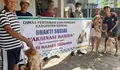 Kucing atau Anjing Anda ingin Vaksin Rabies, Ini Syarat dan Lokasinya