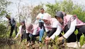 Peringati Hari Menanam Pohon, PLN Icon Plus SBU Regional Jawa Bagian Tengah Serahkan 1.000 Bibit Mangrove ke Grand Maerakaca