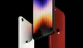 Apple Hentikan Penjualan iPhone SE 3 dan iPhone 14 di Eropa pada 2025