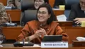 Harta Kekayaan Sri Mulyani Naik Tiap Tahun, Terbaru Naik Rp13 Miliar