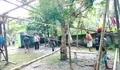 Babinsa Serka Hudson Turun Tangan: Gotong Royong Panaskan Semangat Warga Kalongan Talaud Bangun Bangsal Syukuran Awal Tahun!
