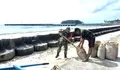 Salut! Babinsa Koramil Miangas Talaud Rangkul Warga, Semangat Gotong Royong Bangun Rumah di Perbatasan.