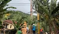 Pasokan Listrik Pulau Siau 100% Kembali Normal, PLN UP3 Tahuna Tuntaskan Pemulihan Pascabencana