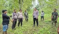 Polsek Kabaruan dan Warga Terjang Medan Berat Hutan Laru Cari Lansia 79 Tahun yang Hilang