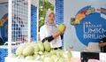 Dukung Ekonomi Rakyat, BRI Salurkan KUR Rp178,08 Triliun Sepanjang 2025, Sektor Pertanian Jadi Primadona