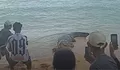Buaya Viral di Pantai Tinggian Kombi Tondano, Sempat Dipanah hingga Akhirnya Ditangkap Warga