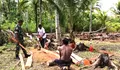 Atasi Kesulitan Warga, Babinsa Koramil 312-01/Kabaruan, Serka Agus Tuter Bantu Pemotongan Kayu Bahan Bangunan Rumah di Desa Binaan