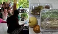 SPPG Batu Bara Air Putih Indrasakti Sumut Tak Antarkan Makanan MBG ke Sekolah, Wali Murid Menunggu Sejak Pagi: Ditelepon Katanya Udah di Jalan