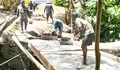 Progres 30%, Pembangunan Jembatan Perintis Garuda dan Jembatan Beton Dikebut Bersama Warga