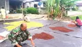 Dukung Peningkatan Ekonomi Masyarakat, Babinsa Serka Andris Porobaten Bantu Warga Jemur Cengki