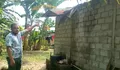 Angin Kencang Landa Essang Selatan: Pohon Kelapa Timpa Dapur Warga, Kapolsek Ipda Sumendap Sasoloa Imbau Warga Tebang Pohon Rawan